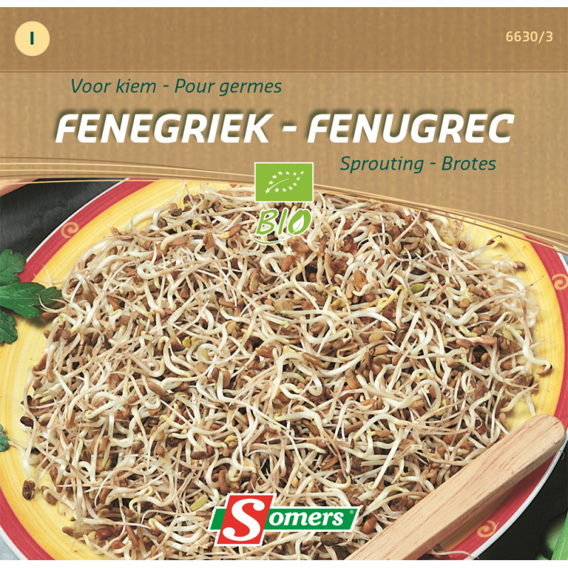 Semences de germes Fenugrec Bio SOMERS