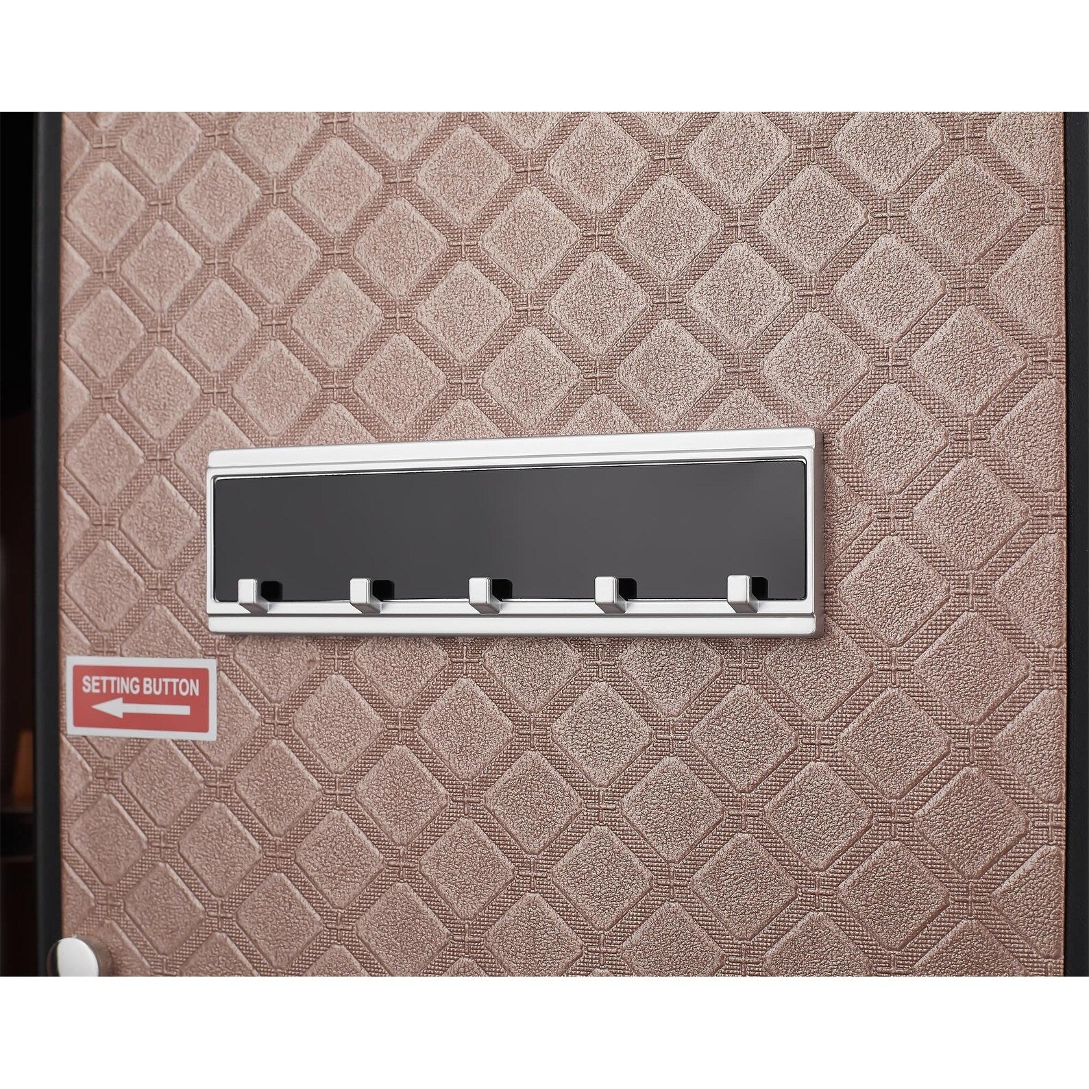 Safe Box with Biometric Recognition and Electronic Password Lock