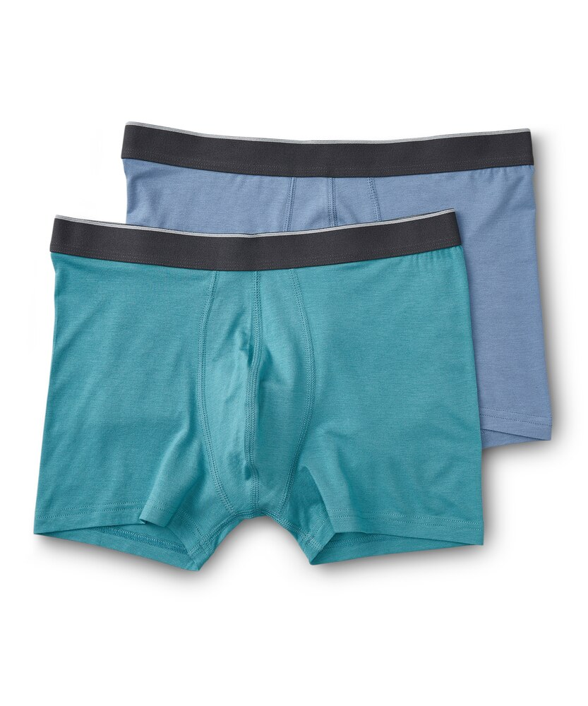 Denver Hayes Men's Rayon from Bamboo 2-Pack Trunk Briefs