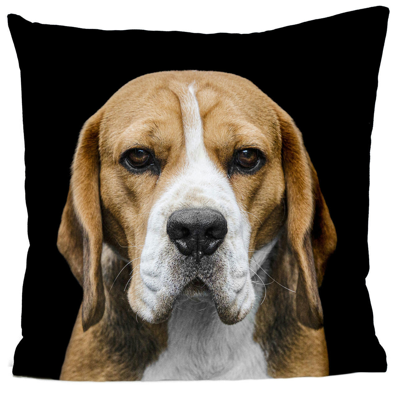 - Coussin chien beagle suédine noir 40x40cm