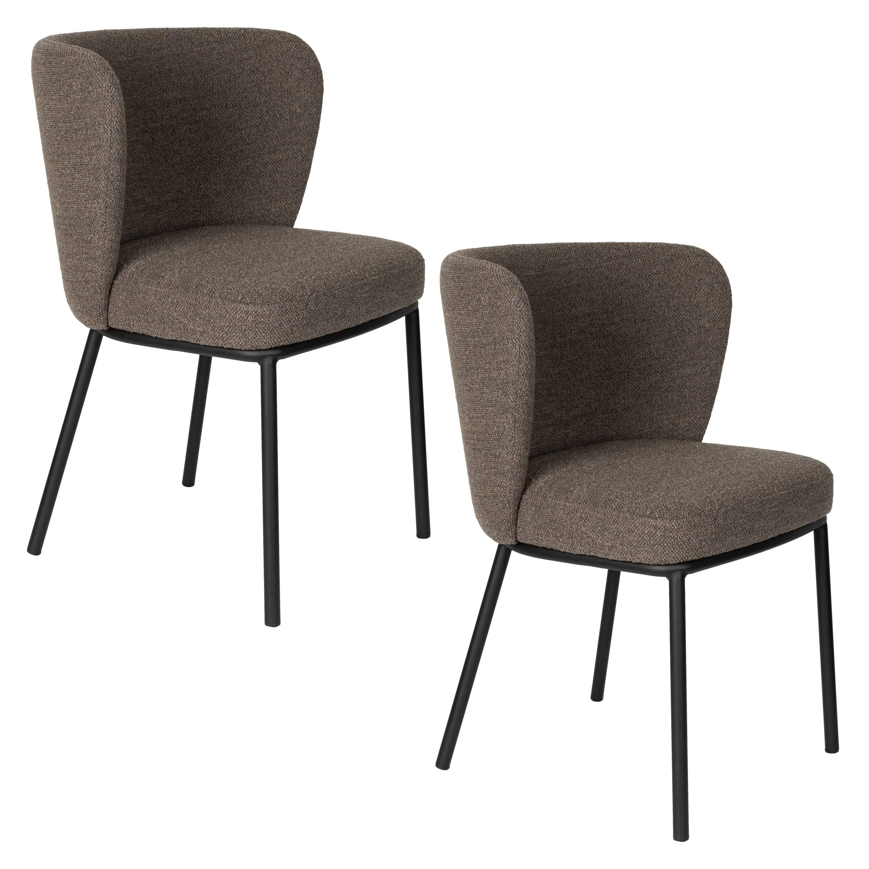 Eetkamerstoel Alpas set van 2