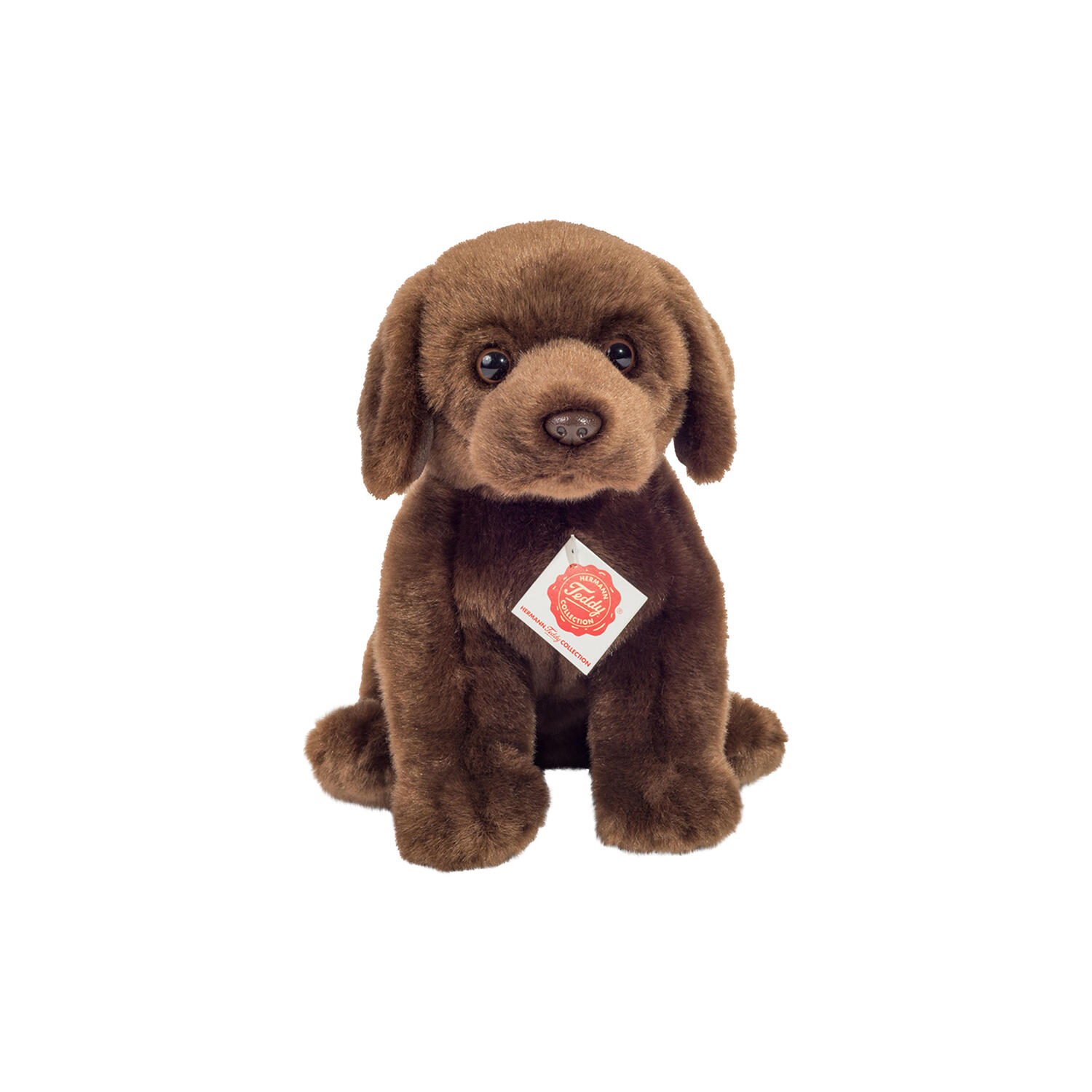 Siddende labrador