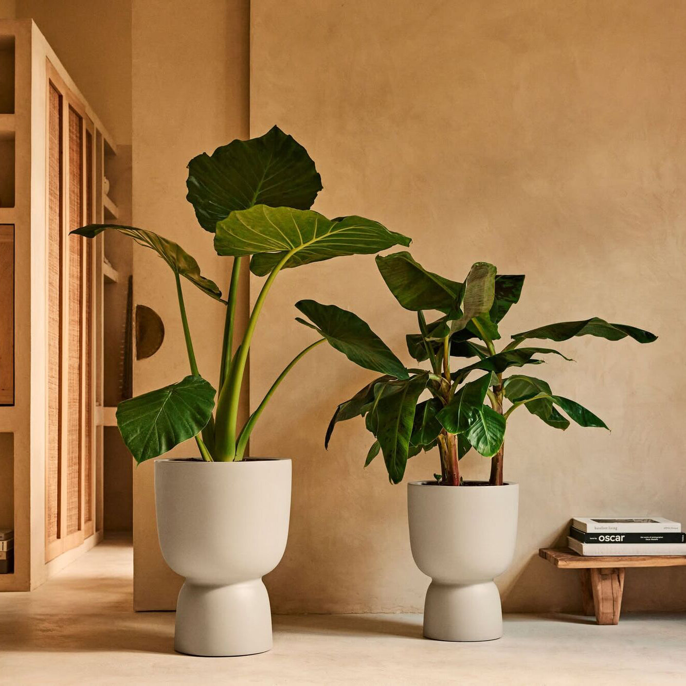 Elho Amber Coupe Round 41 - Balanced beige - L 41 x B x H 58 cm - Binn