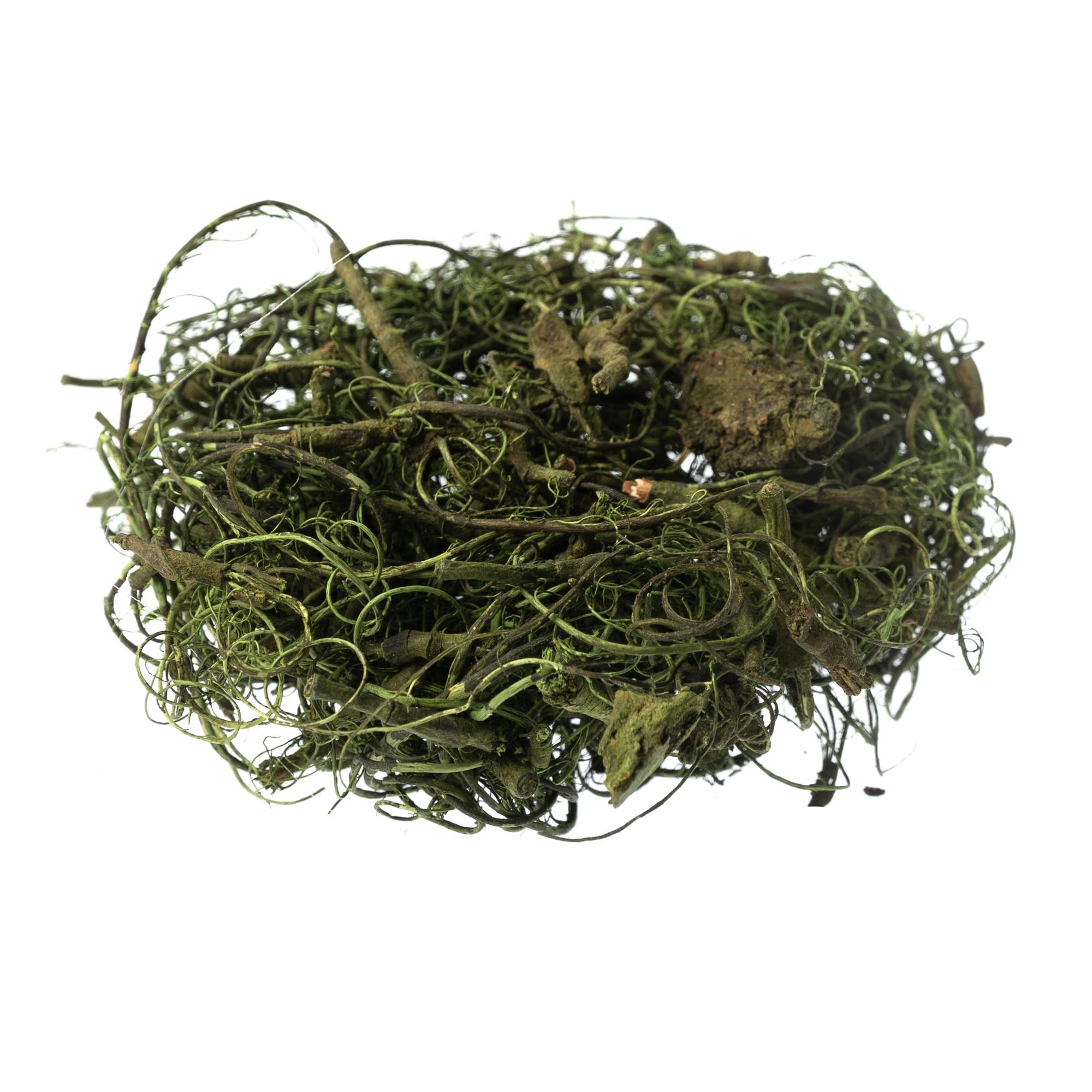 Green Curly Moss 25g