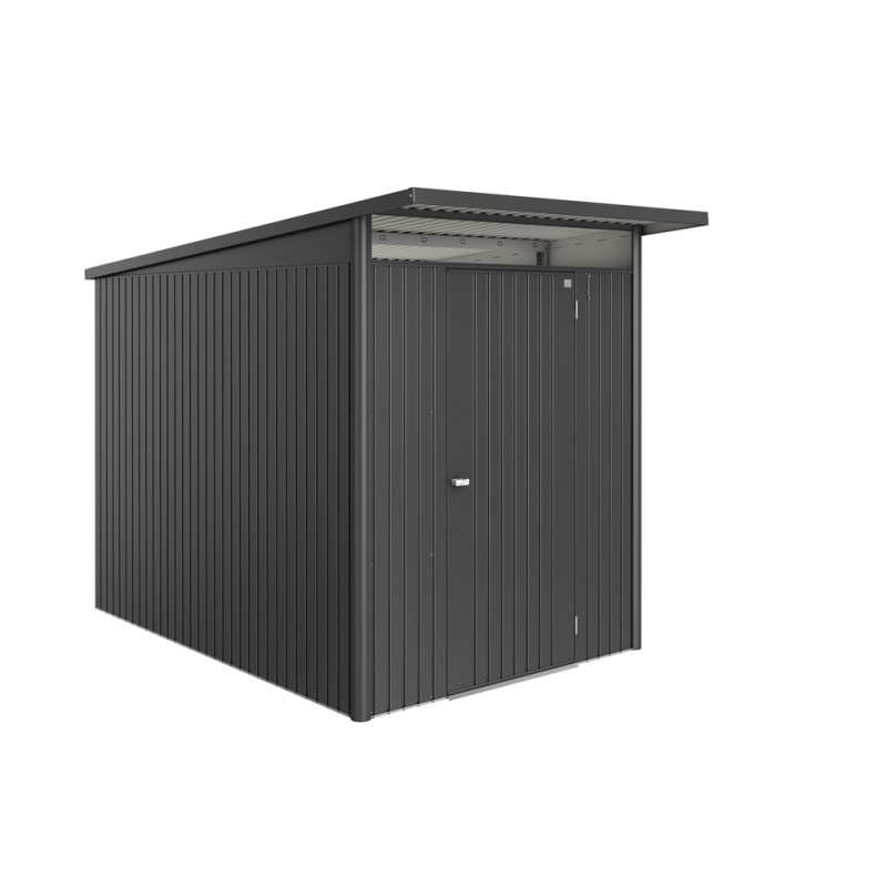 Abri de jardin en métal AvantGarde Eco 1 porte gris foncé 1,8 x 3 x 2,18 m BIOHORT