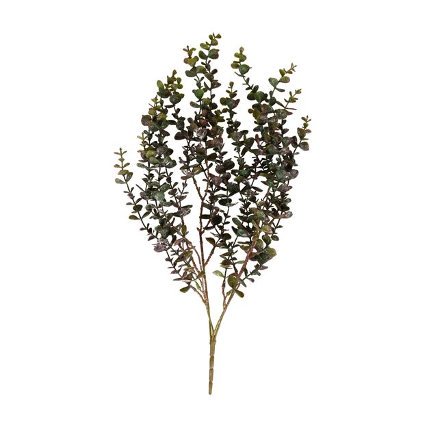 FOLHAGEM CHIANTI EUCALIPTO