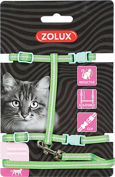 Kit sellerie pour chat avec harnais réglable et laisse vert