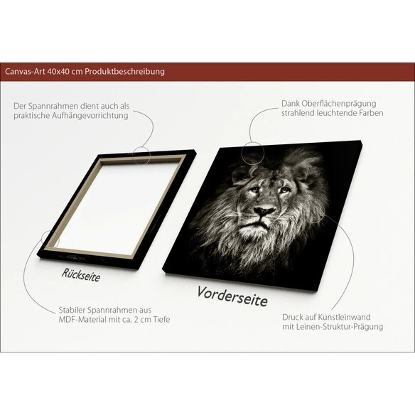 Keilrahmenbild »Lionhead«, Rahmen: Holzwerkstoff, natur