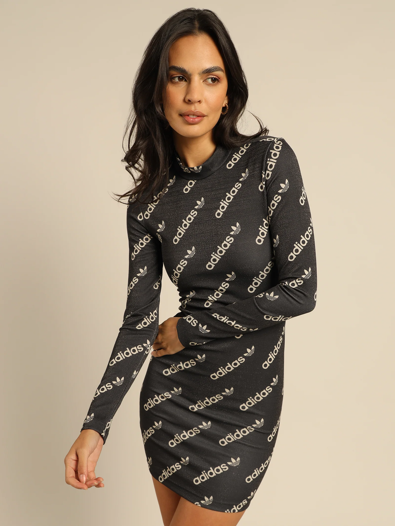 Bodycon Long Sleeve Dress