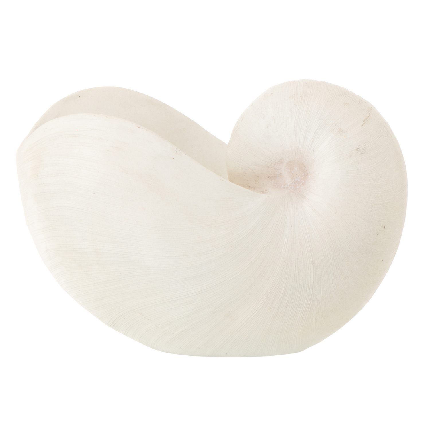J-Line decoratie Schelp - polyresin - wit