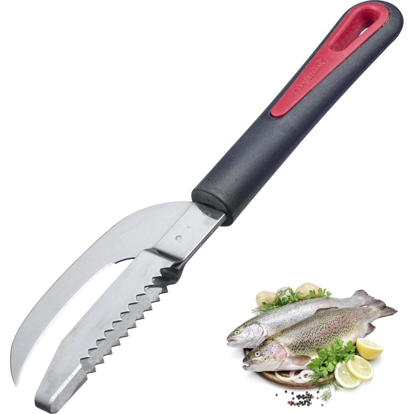 Fischentschupper Gallant