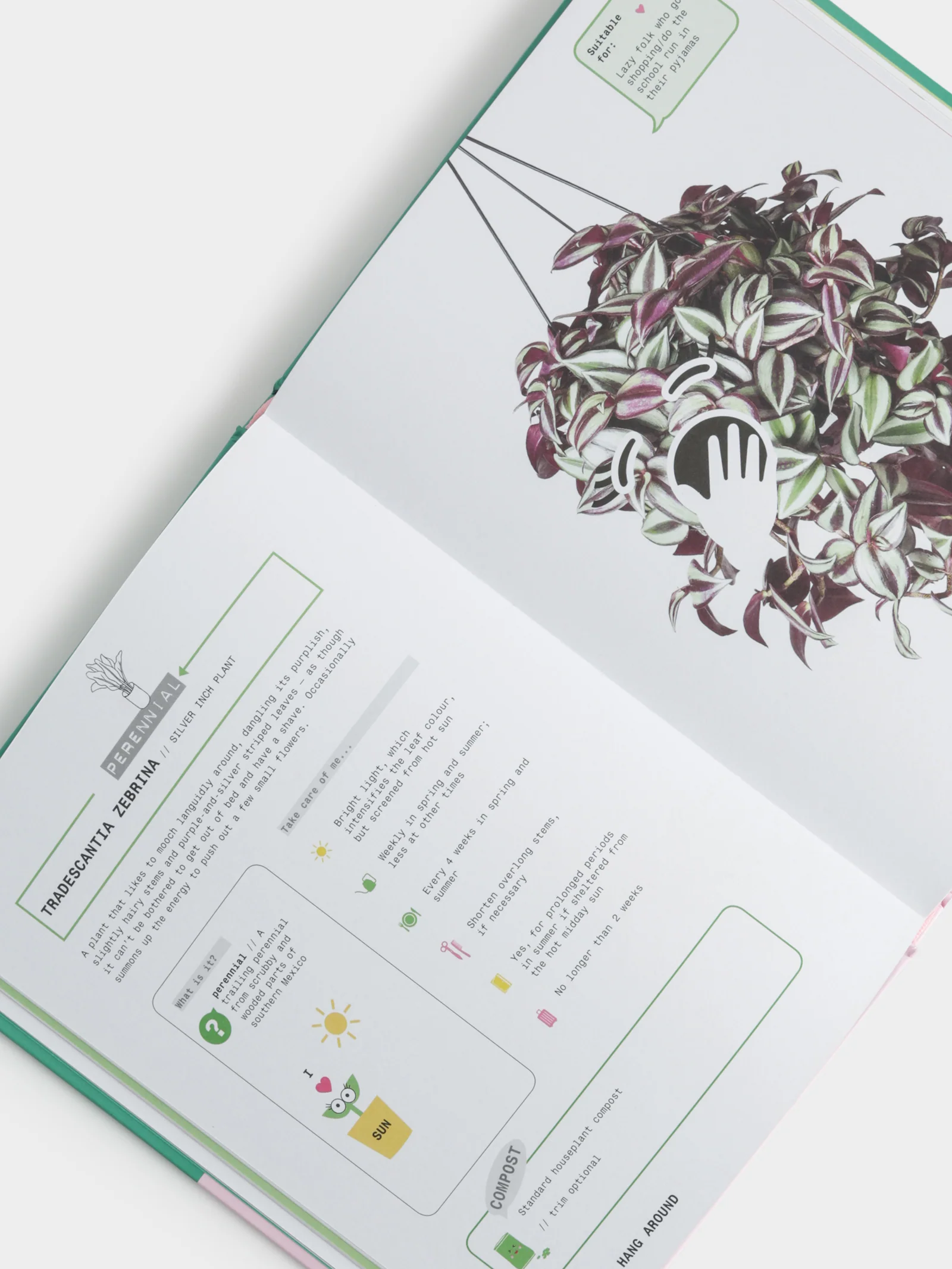 Grow Your Own Pet Plants: A cute guide to choosing and caring for your leafy friends