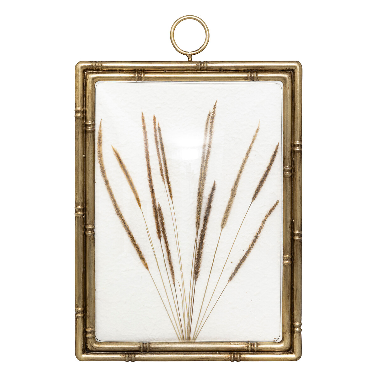 Curved stem wall art "Jonas" 46x30 cm