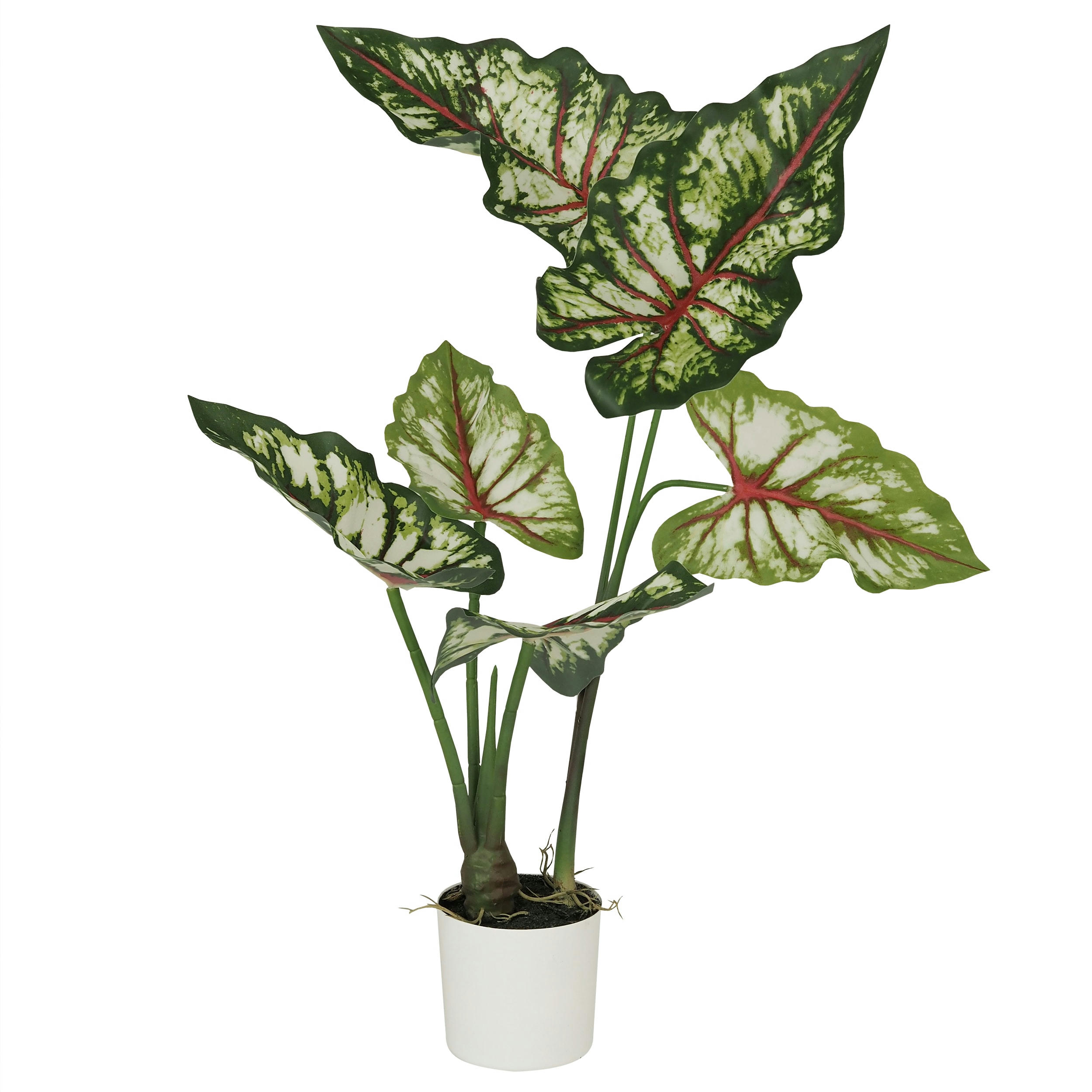- Caladium bicolor artificiel 70cm