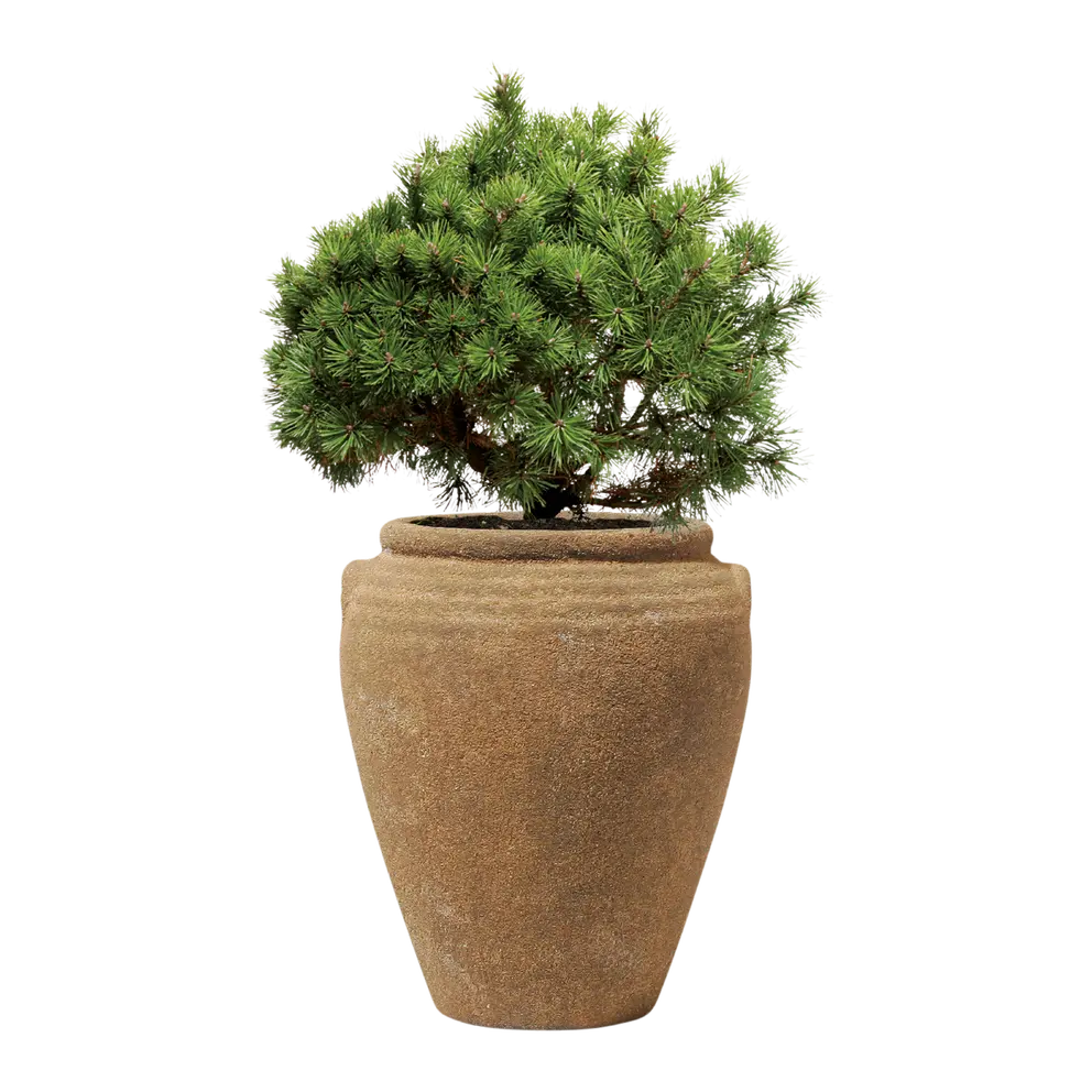 Gartentopf Rockline
