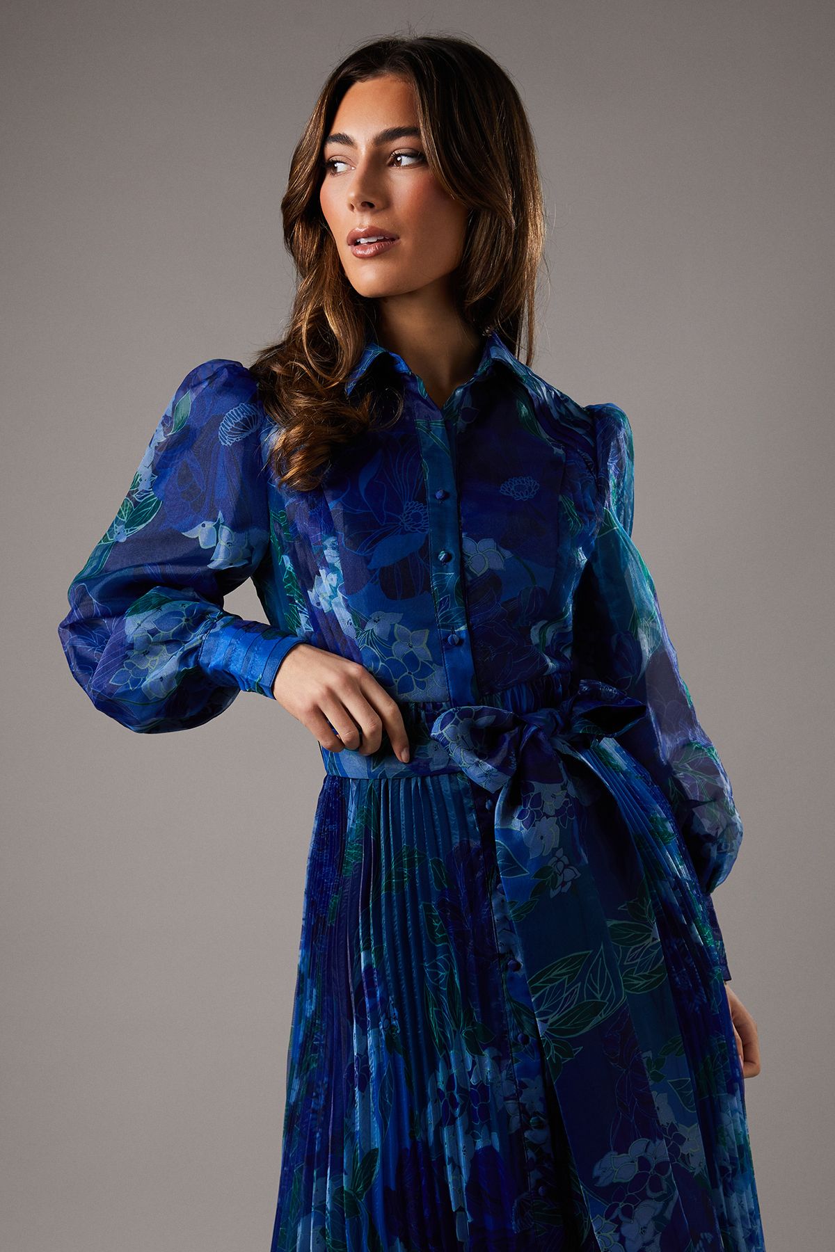 Coast Organza Printed Shirt Dress