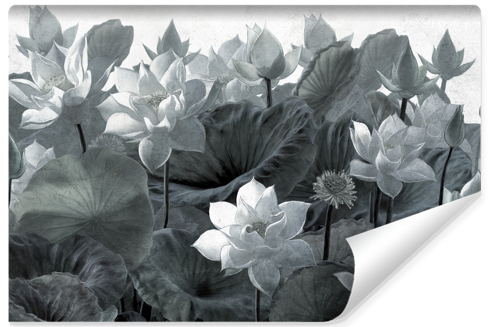 Fototapeta Abstrakcyjne Kwiaty Lotosu Styl Retro 90x60cm
