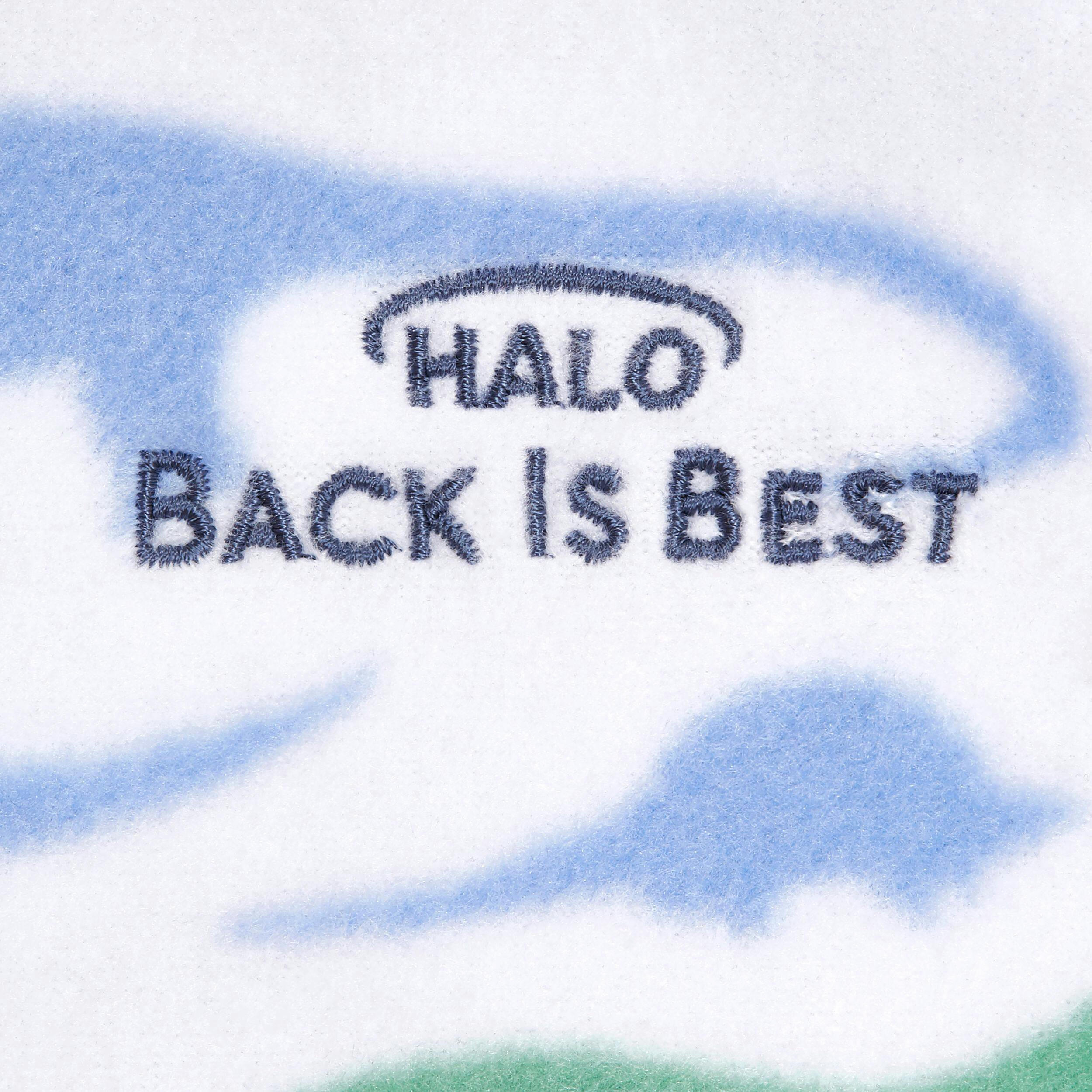 Halo SleepSack® Newborn Swaddle, Dinos