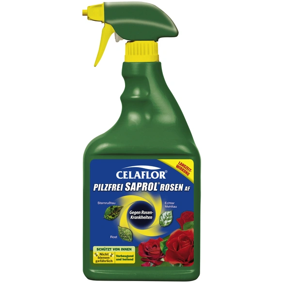 Pilzbekämpfung »Saprol«, 750 ml, flüssig, schützt vor Schädlingen an Rosen