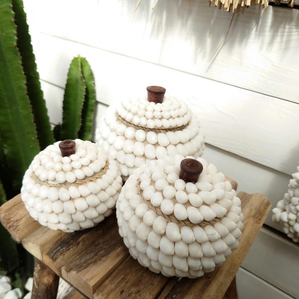 OCEAN - Boites rondes en coquillages, blanc - lot de 3