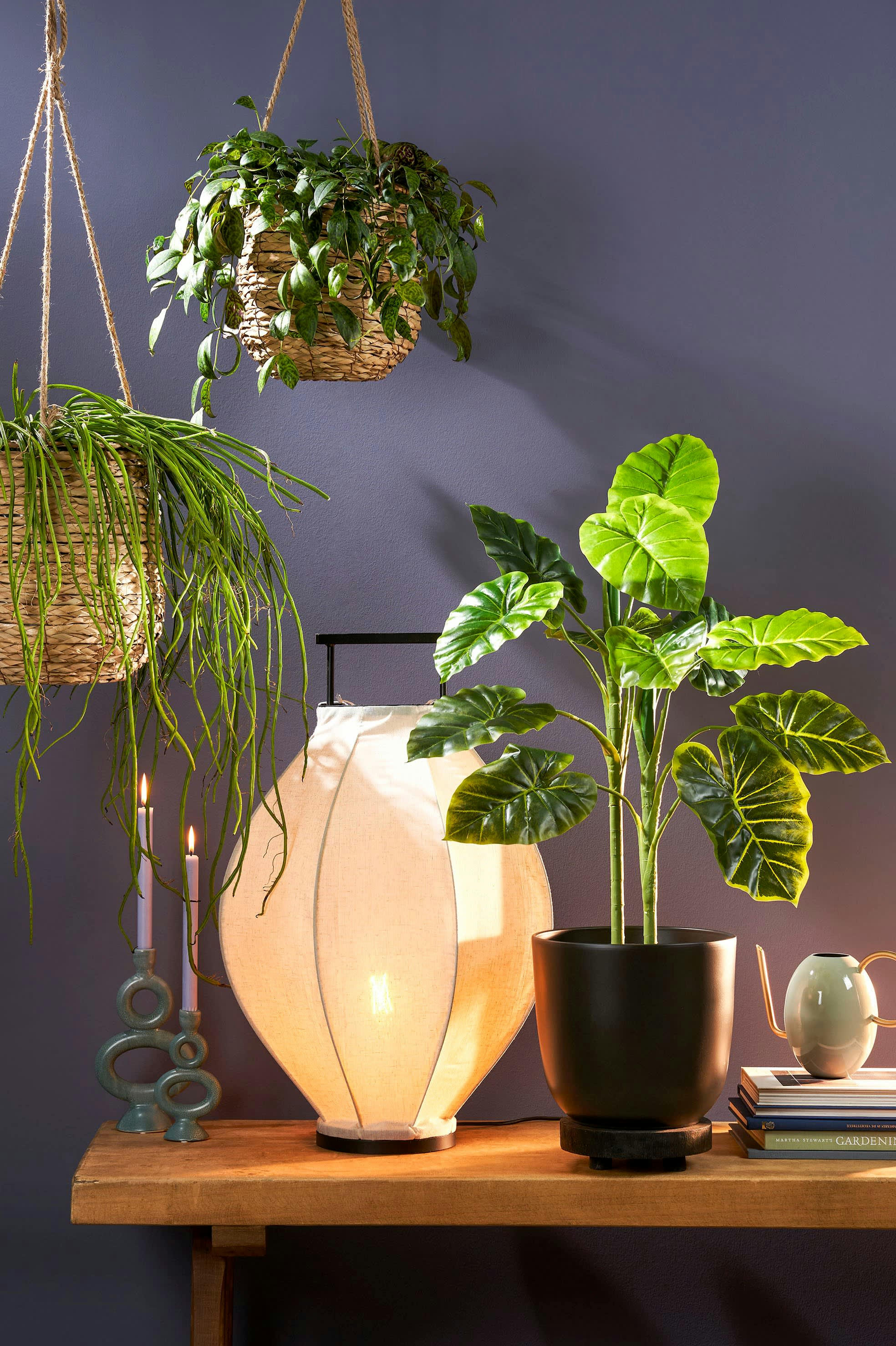 - Alocasia artificielle en pot H100