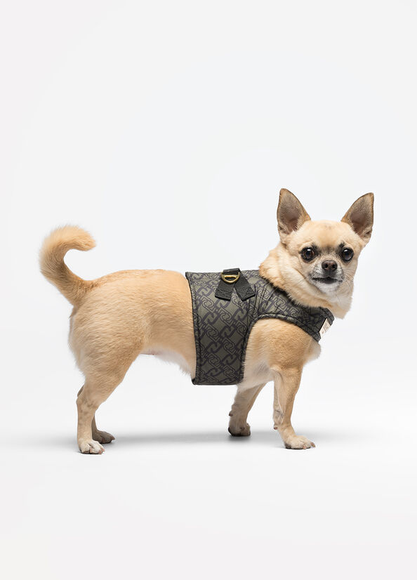 Pettorina Liu Jo Pets