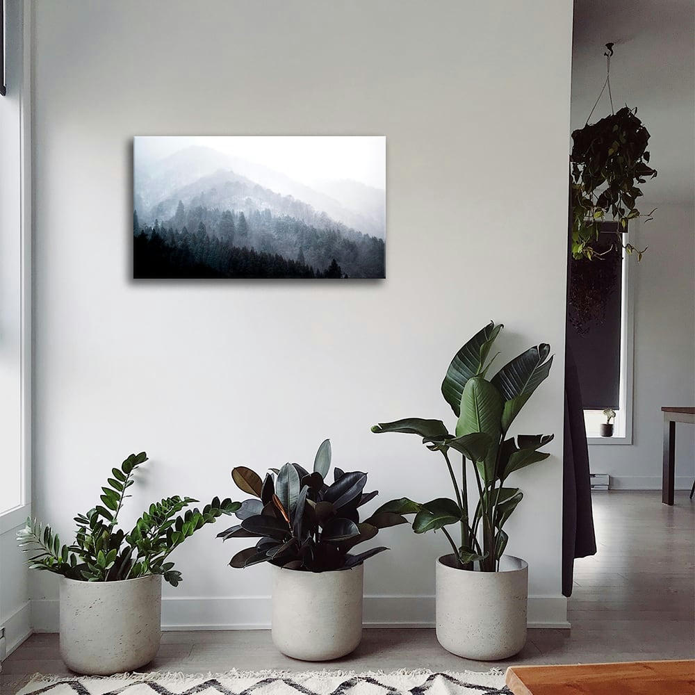 - Tableau impression sur toile arbres dans la brume 50x80cm