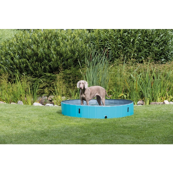 Hundepool, Ø: 160 cm, blau/hellblau