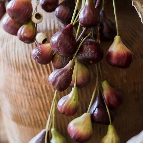 RusticReach Artificial Fig Fruit Stem 46" Tall