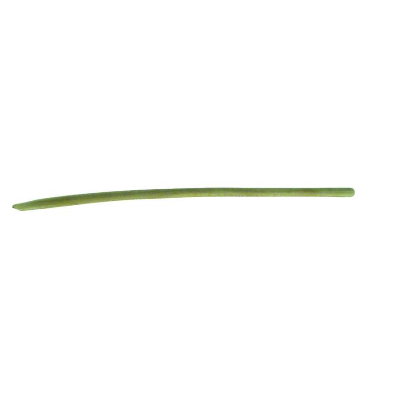 Manche de pelle courbé en bois 130 cm AVR TOOLS
