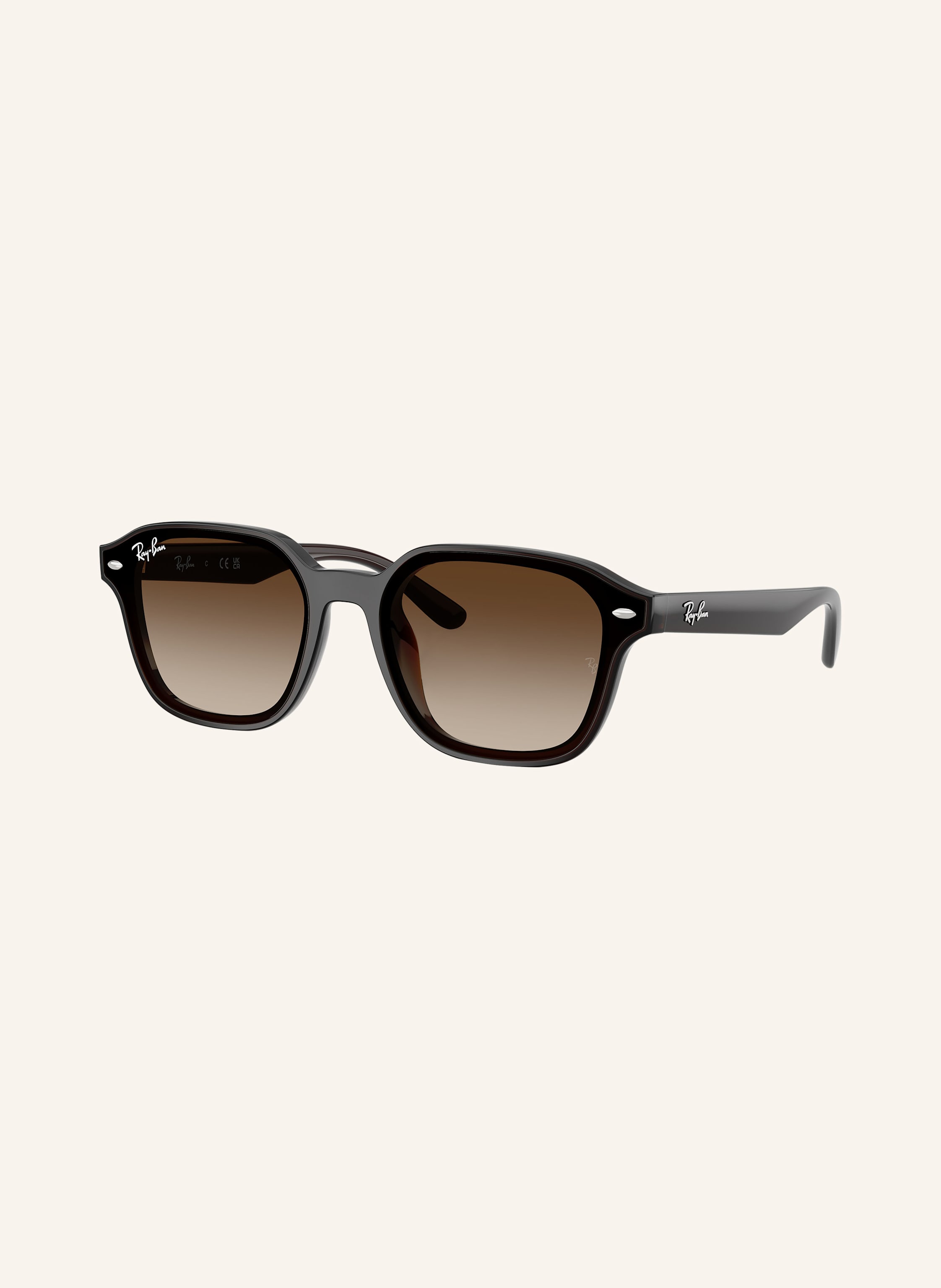 Ray-Ban Sonnenbrille RB4458D
