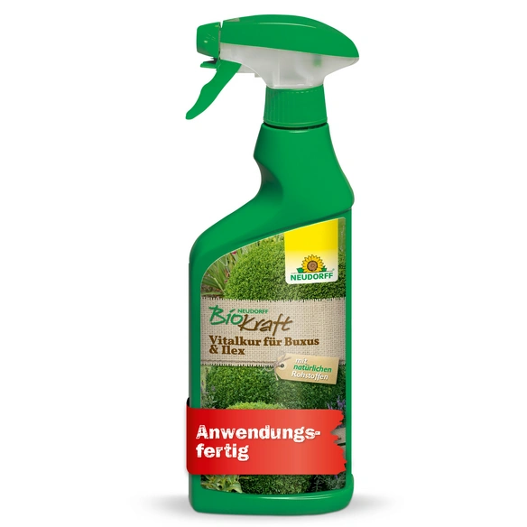BioKraft Vitalkur für Buxus 0,5 l