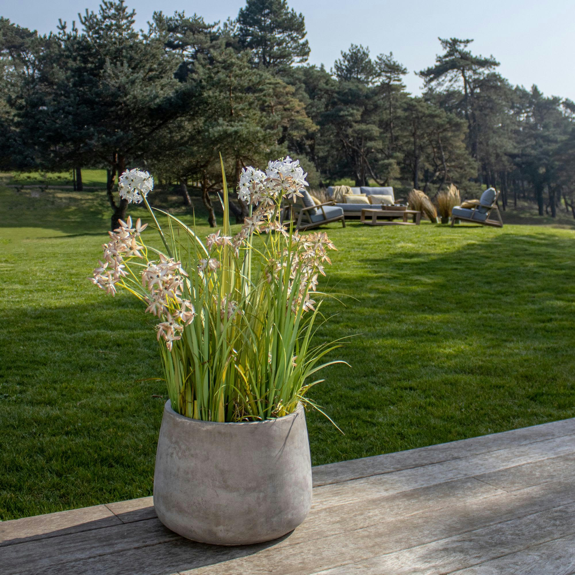 FARO - Set de 2 pots ronds en terre d'argile forme basse Ø41/55cm