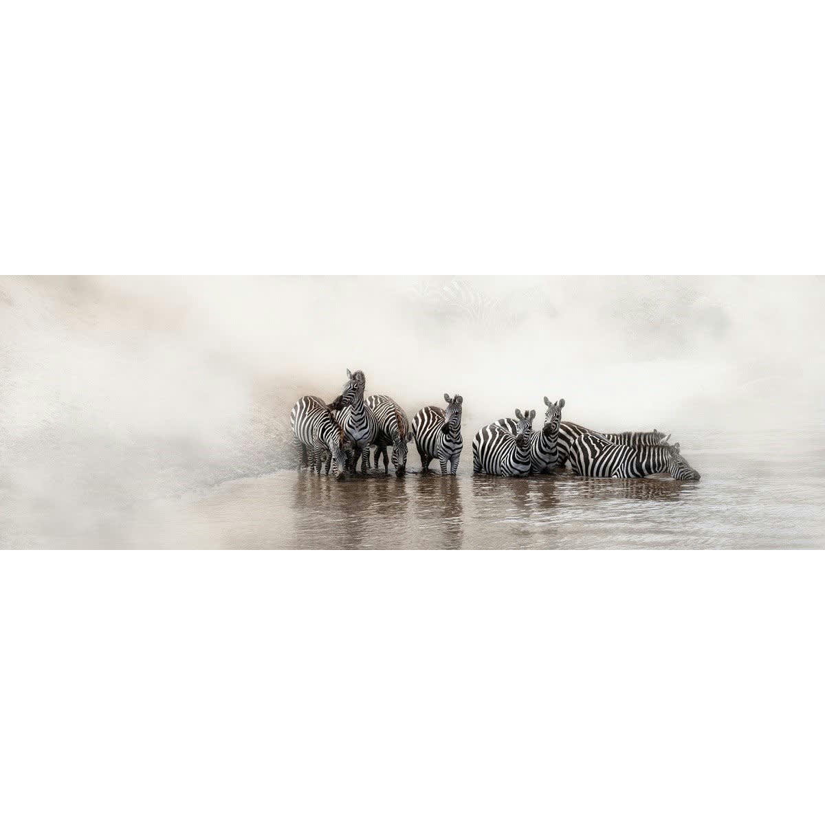 ANIMAUX - Tableau sur toile les zèbres 30x97 cm