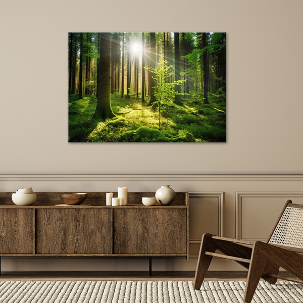 Feeby Obraz na płótnie, Las Drzewa Natura 60x40