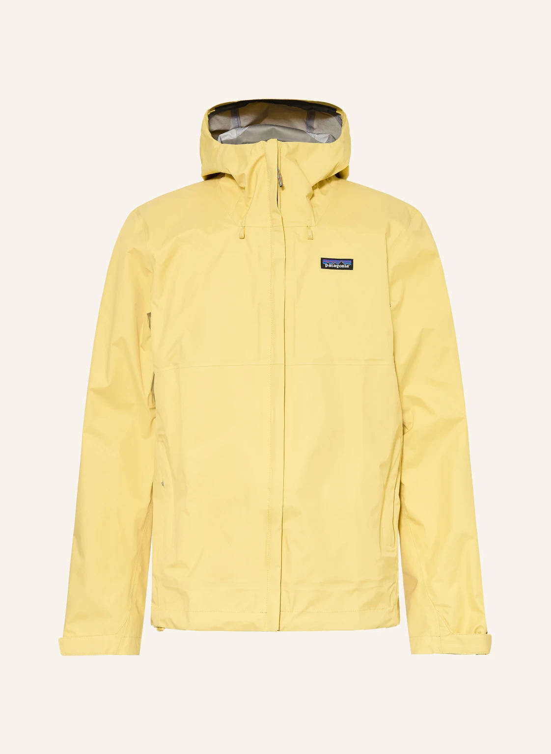 patagonia Funktionsjacke TORRENTSHELL