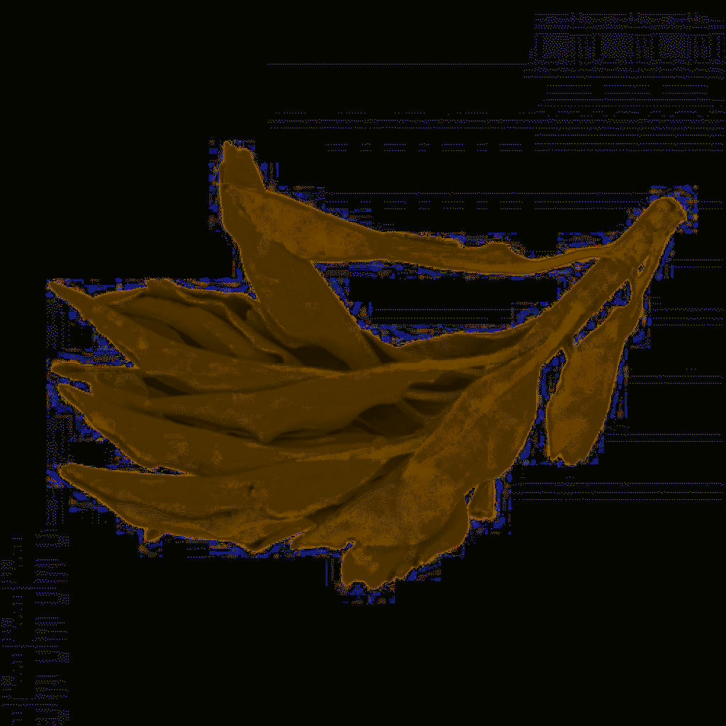 SAUGE - Sauge de Californie à brûler