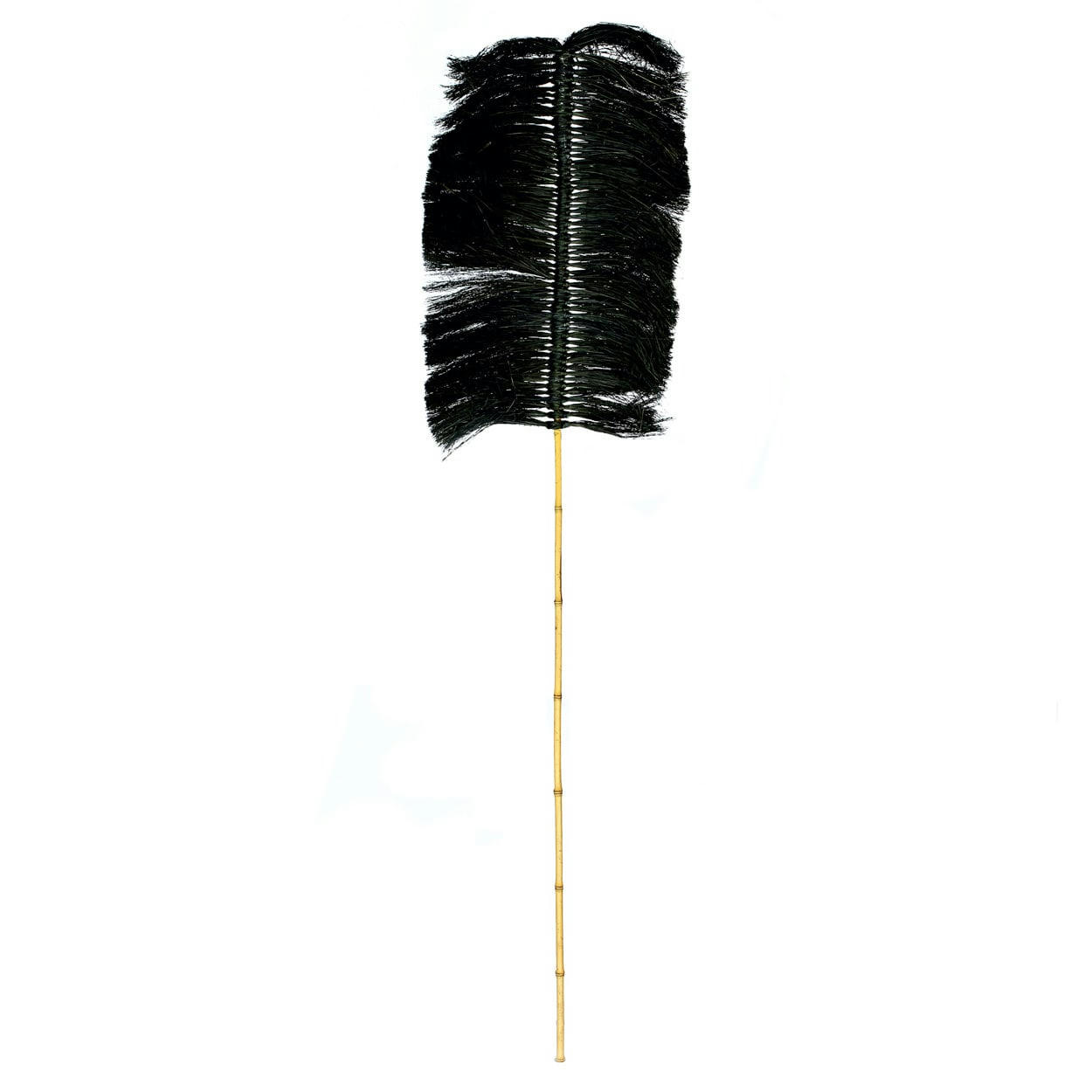 RAFFIA PALMEIRA - Feuille en herbe noir lot de 6