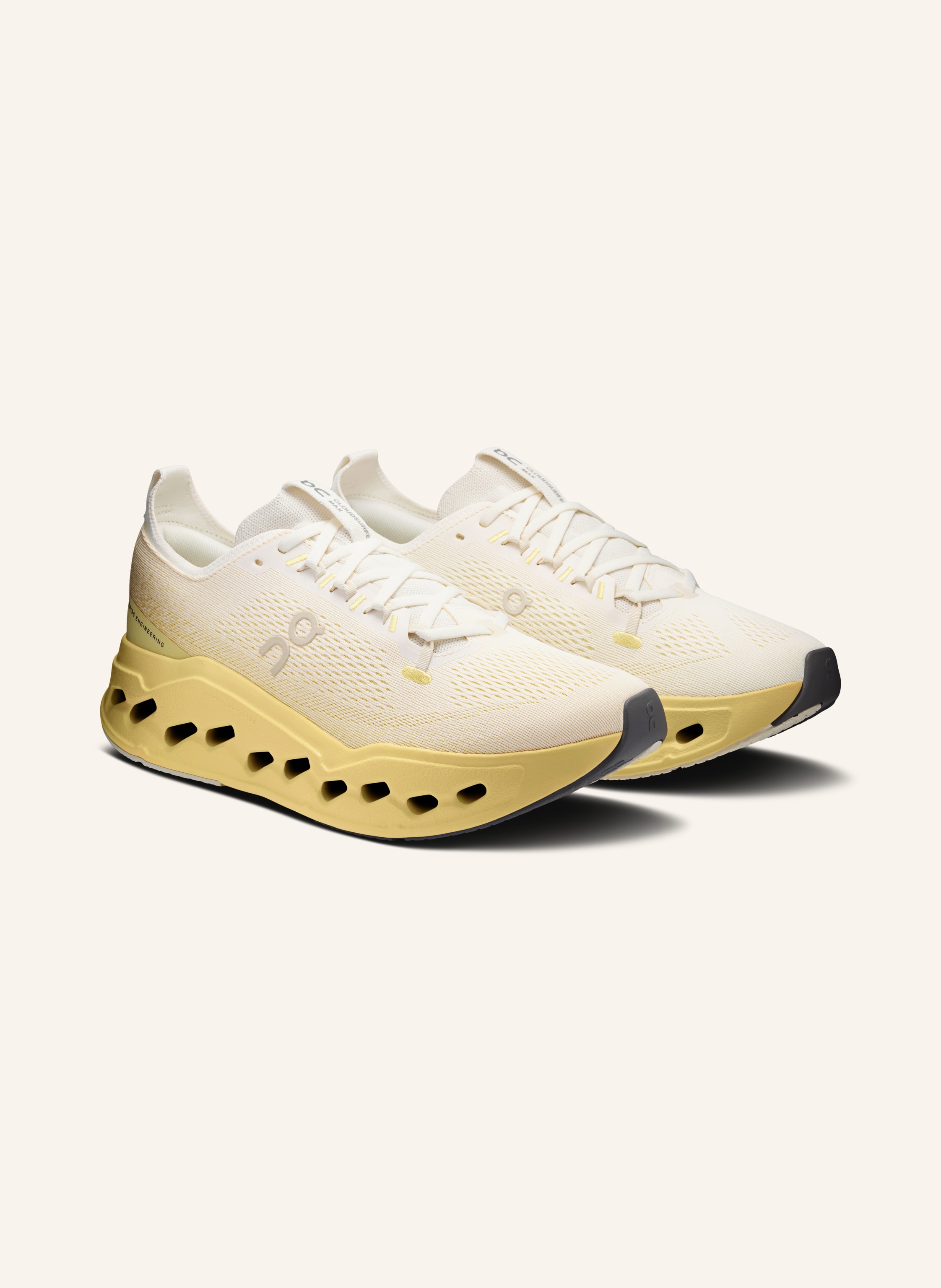 On Laufschuhe CLOUDSURFER MAX
