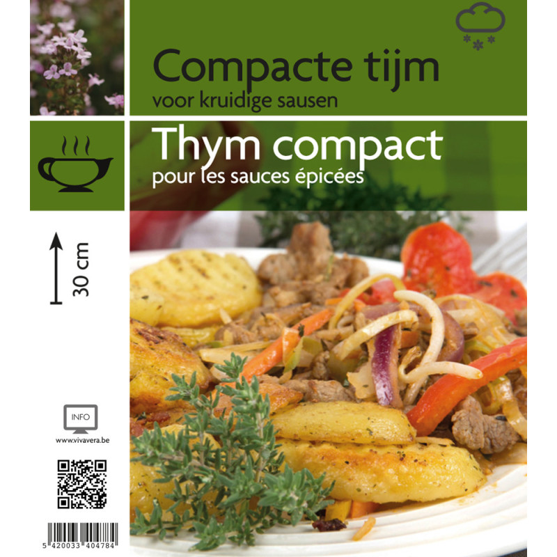 Thym compact en pot