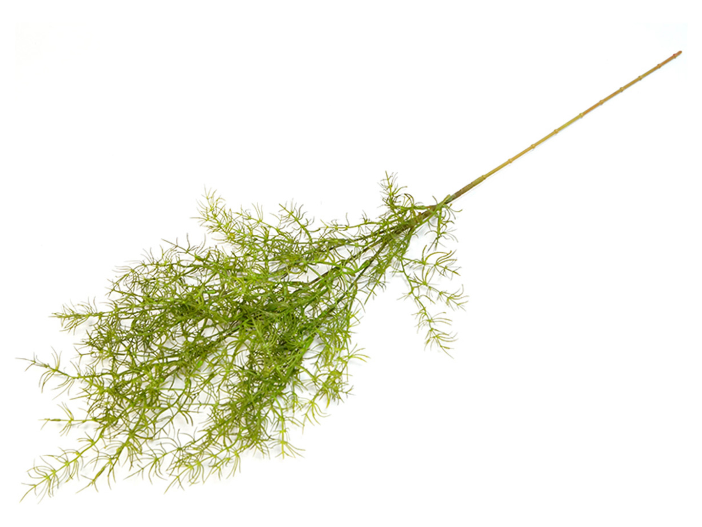 Sztuczna gałązka Asparagusa 80 cm