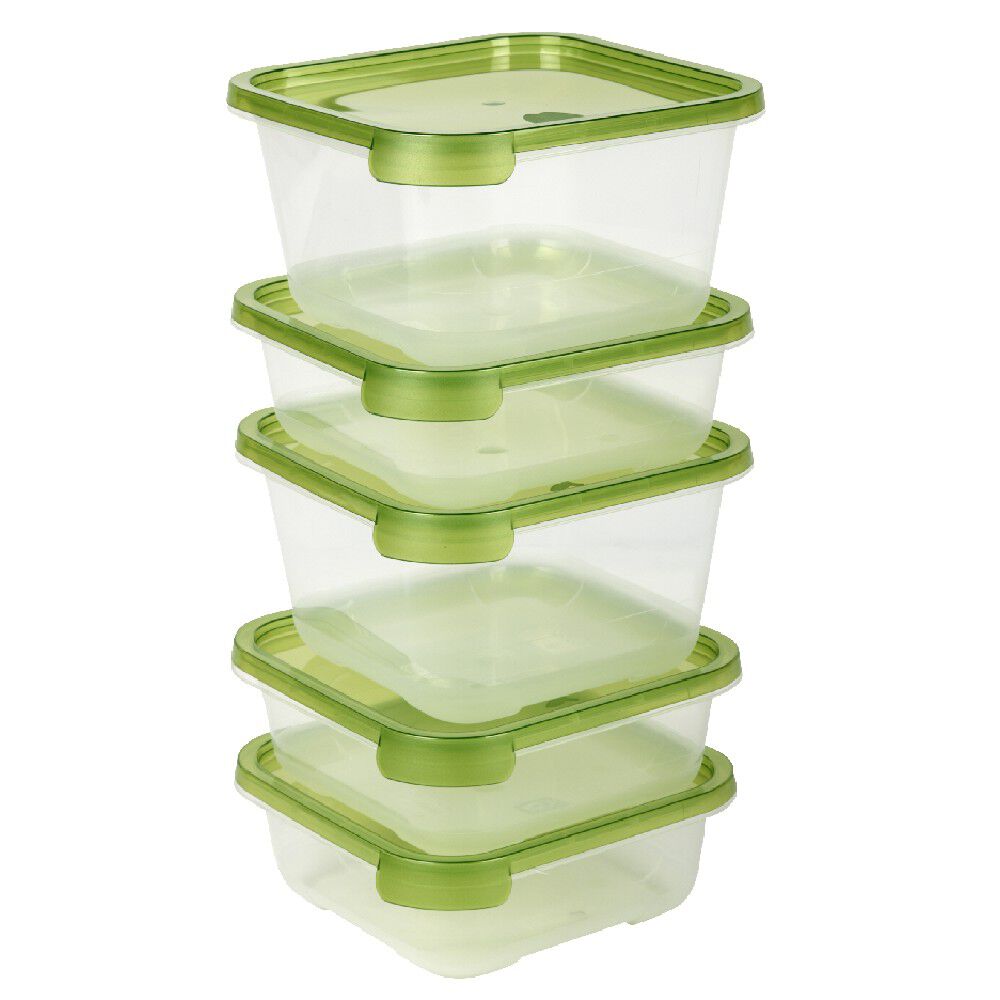 BoÎte alimentaire transparente et verte x5