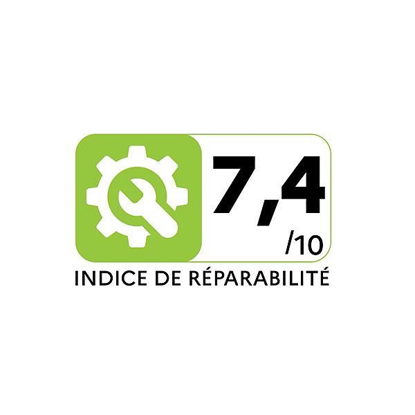 Aspirateur balai sans fil 29.4v Dyson V12DETECTSLIMABS v12