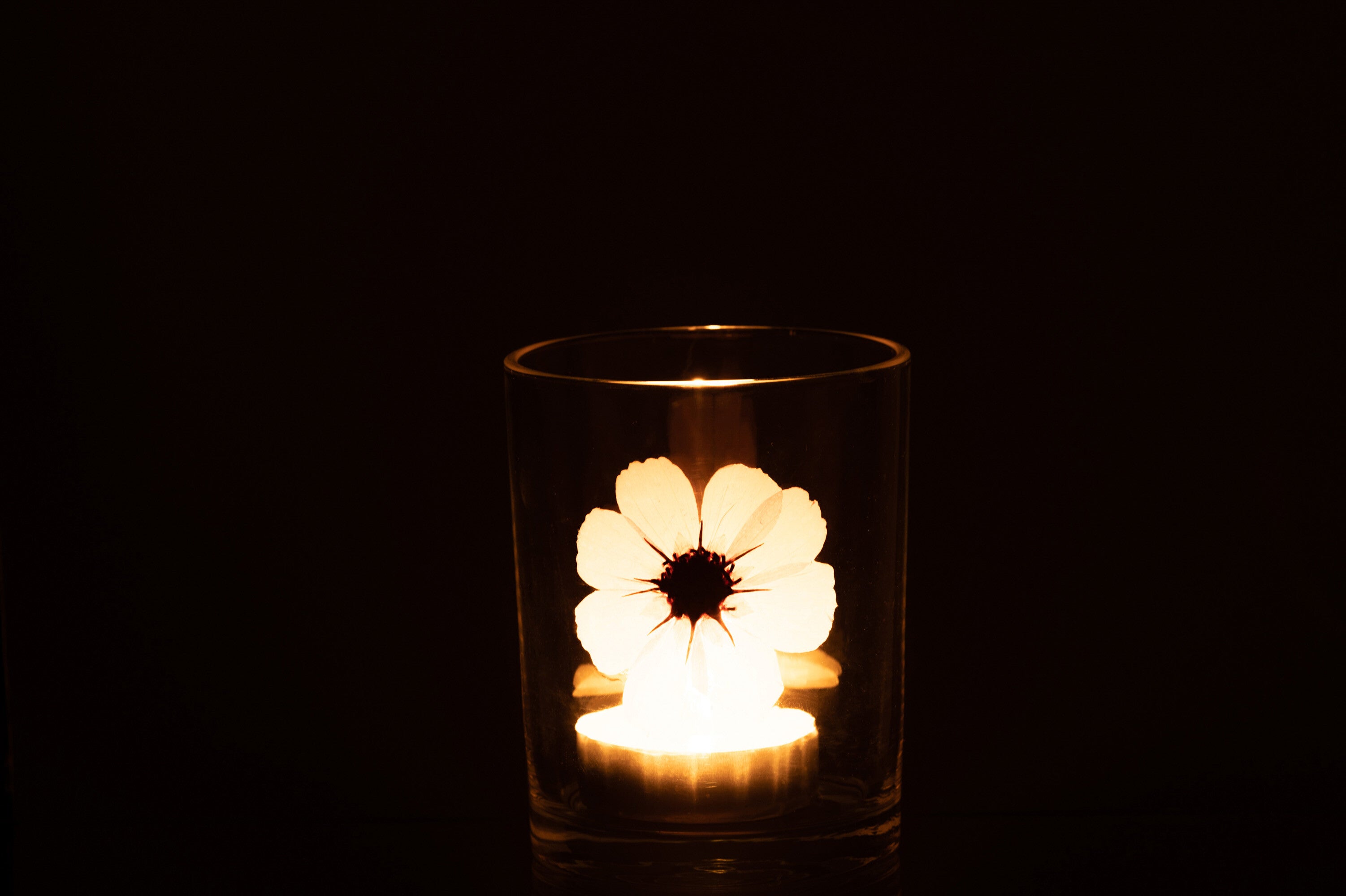 J-Line windlicht Bloem - glas - roze/mix