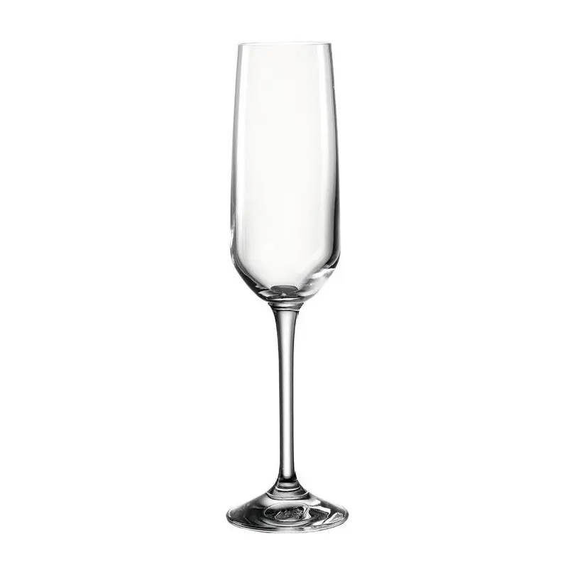 Champagnerglas 6er-Set Vivid