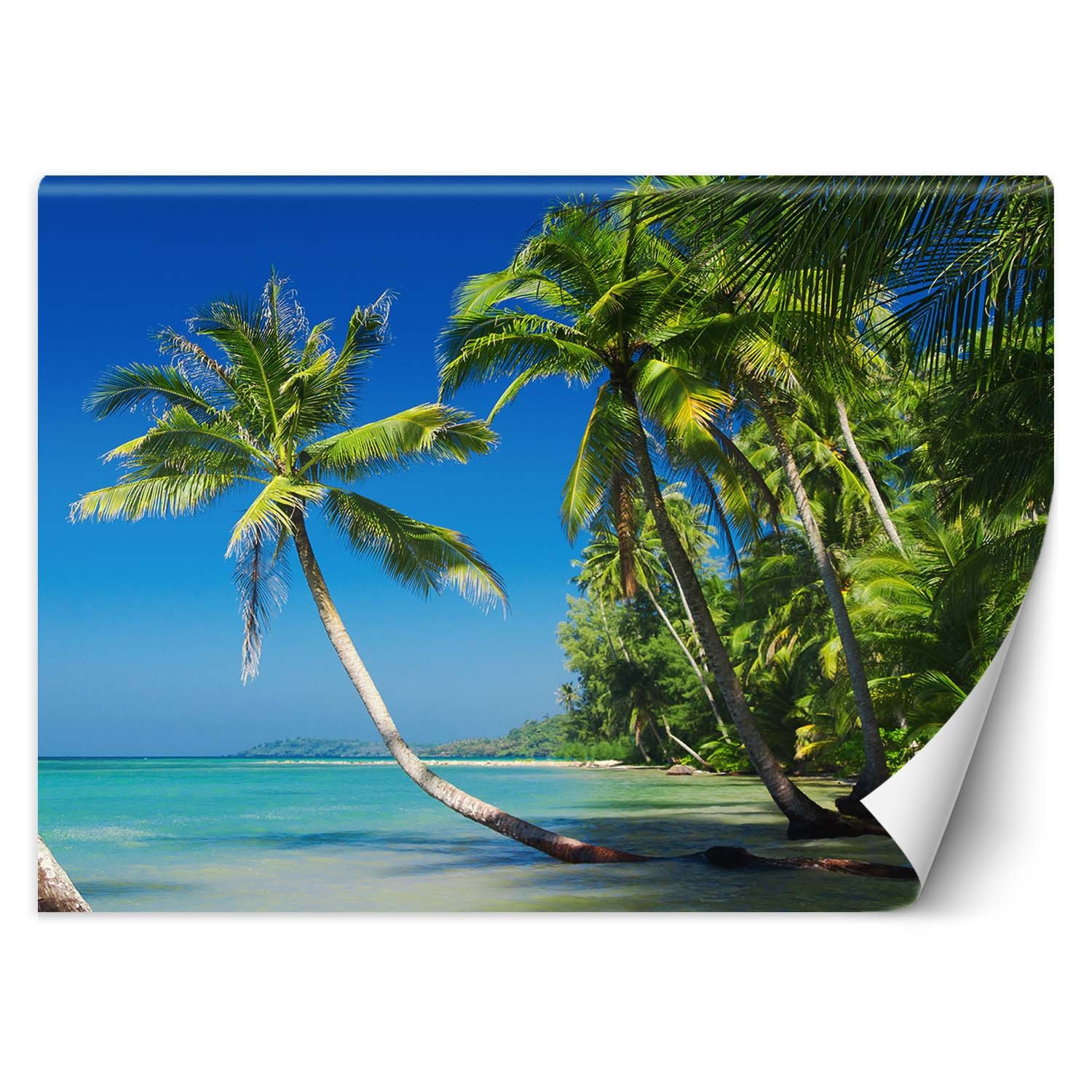 Feeby Fototapeta, Palmy na dzikiej wyspie 150x105