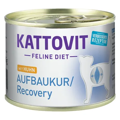 Kattovit Convalescence (Energy Plus)
