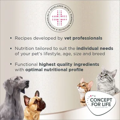 Concept for Life Maine Coon Adult