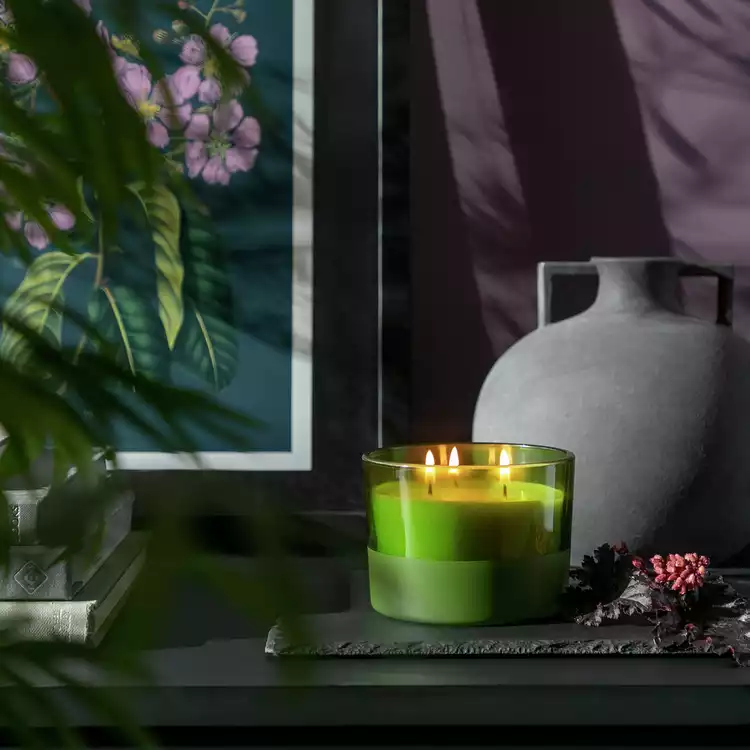 Habitat Multiwick Candle - Fig Leaf & Amber