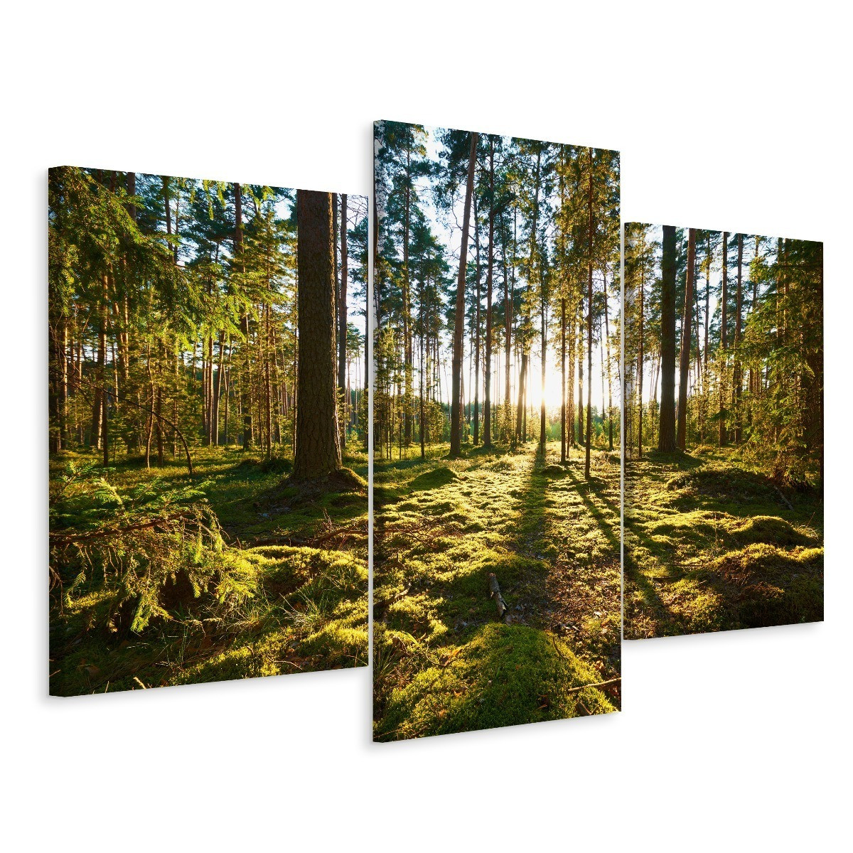 Obraz Tryptyk LEŚNY PEJZAŻ Słońce Efekt 3D 60x40cm